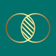 Adler Consulting logo